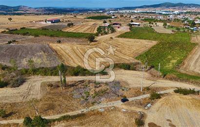ÇANAKKALE BİGA BALIKLIÇEŞME SATILIK BAHÇE