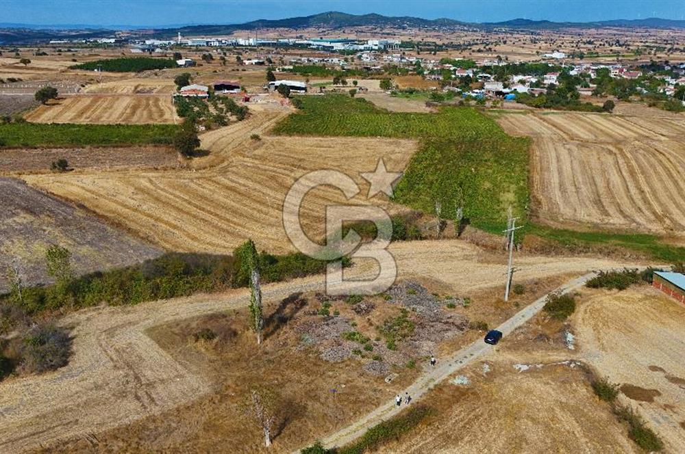 ÇANAKKALE BİGA BALIKLIÇEŞME SATILIK BAHÇE