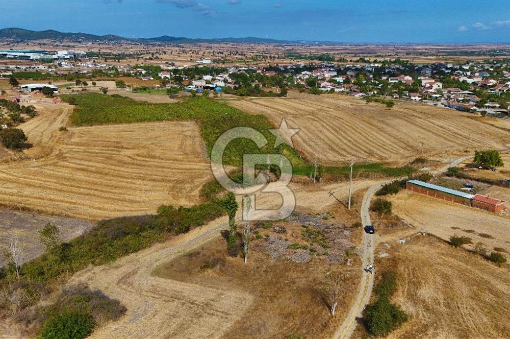 ÇANAKKALE BİGA BALIKLIÇEŞME SATILIK BAHÇE