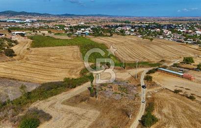 ÇANAKKALE BİGA BALIKLIÇEŞME SATILIK BAHÇE
