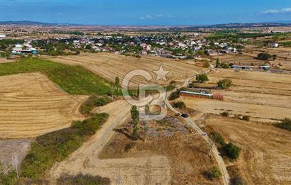 ÇANAKKALE BİGA BALIKLIÇEŞME SATILIK BAHÇE