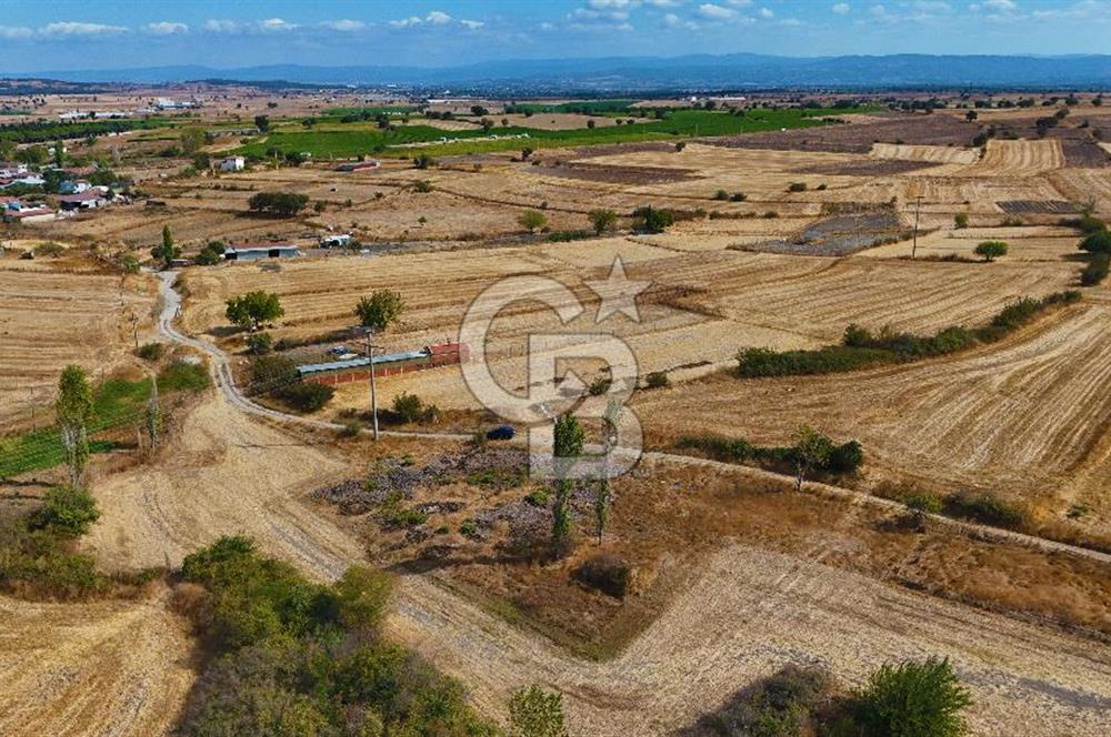 ÇANAKKALE BİGA BALIKLIÇEŞME SATILIK BAHÇE
