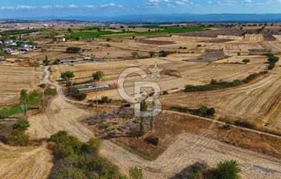 ÇANAKKALE BİGA BALIKLIÇEŞME SATILIK BAHÇE