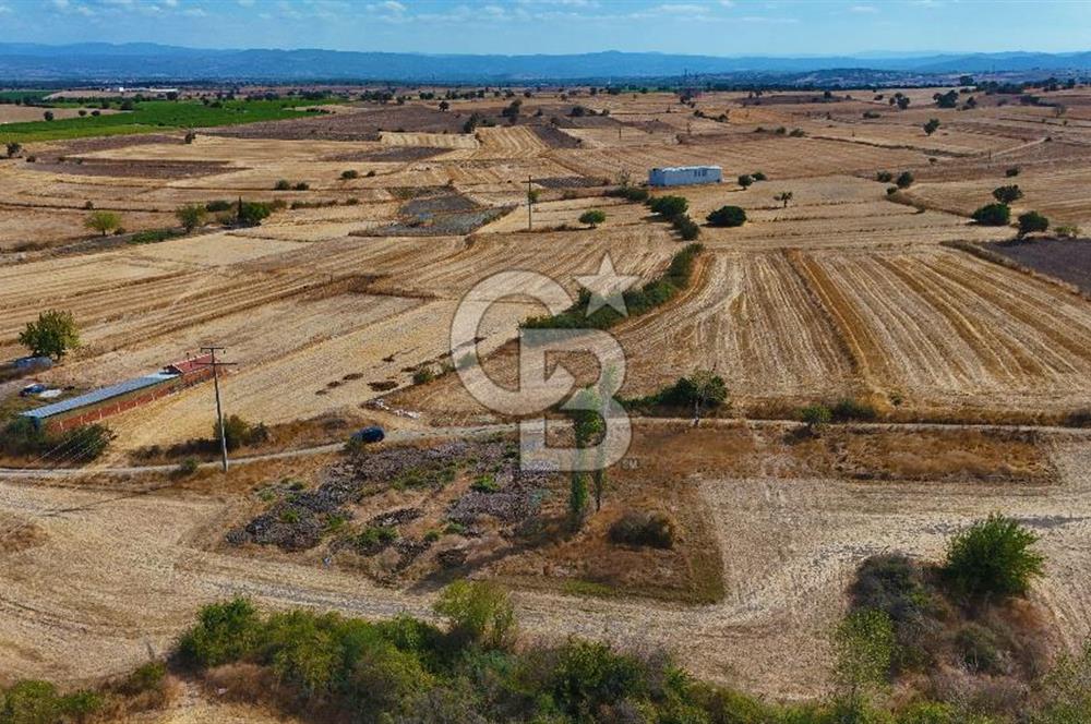 ÇANAKKALE BİGA BALIKLIÇEŞME SATILIK BAHÇE