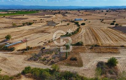 ÇANAKKALE BİGA BALIKLIÇEŞME SATILIK BAHÇE