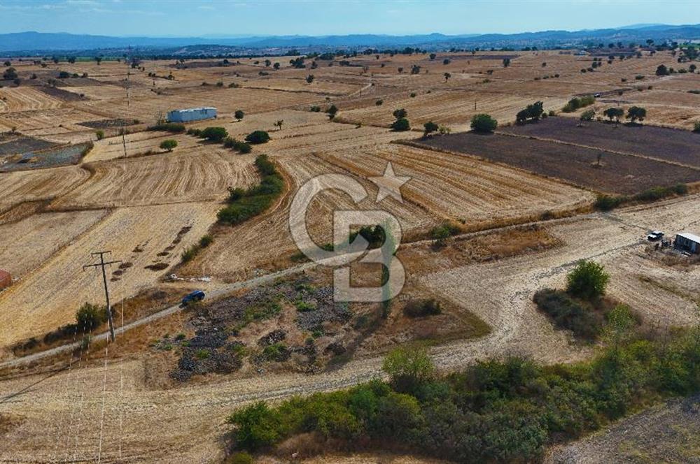 ÇANAKKALE BİGA BALIKLIÇEŞME SATILIK BAHÇE