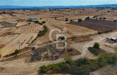 ÇANAKKALE BİGA BALIKLIÇEŞME SATILIK BAHÇE
