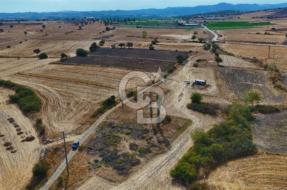 ÇANAKKALE BİGA BALIKLIÇEŞME SATILIK BAHÇE