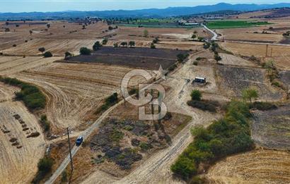 ÇANAKKALE BİGA BALIKLIÇEŞME SATILIK BAHÇE