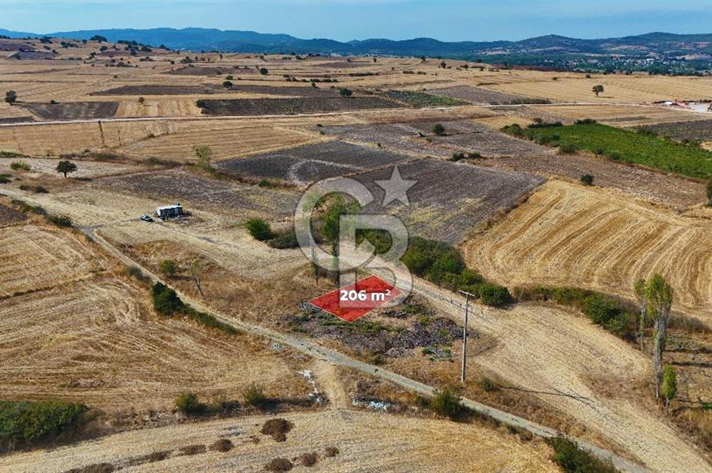 ÇANAKKALE BİGA BALIKLIÇEŞME SATILIK BAHÇE