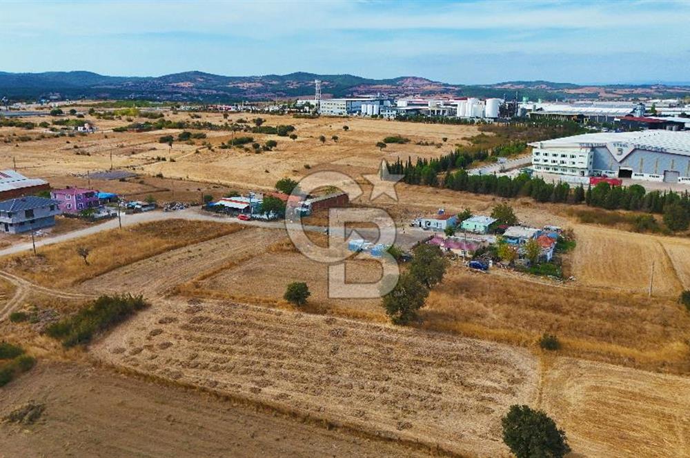 ÇANAKKALE BİGA BALIKLIÇEŞME ORGANİZE SANAYİ MEVKİİ SATILIK TARLA