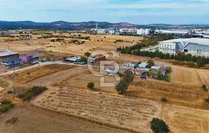 ÇANAKKALE BİGA BALIKLIÇEŞME ORGANİZE SANAYİ MEVKİİ SATILIK TARLA