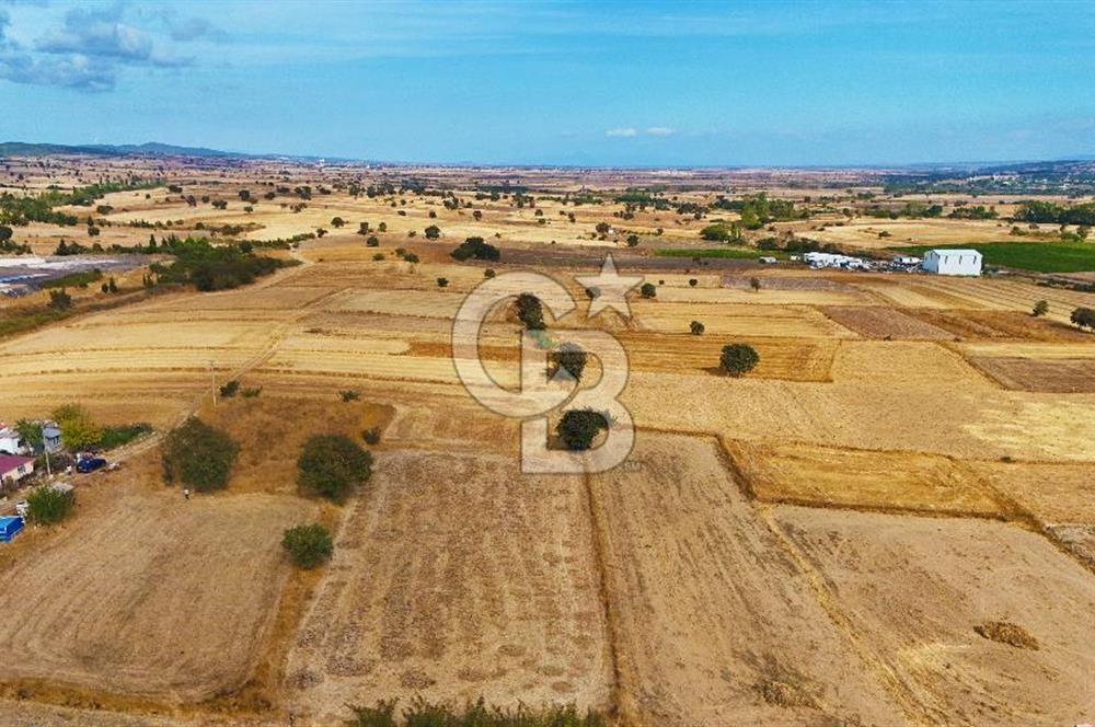 ÇANAKKALE BİGA BALIKLIÇEŞME ORGANİZE SANAYİ MEVKİİ SATILIK TARLA