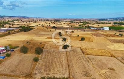 ÇANAKKALE BİGA BALIKLIÇEŞME ORGANİZE SANAYİ MEVKİİ SATILIK TARLA