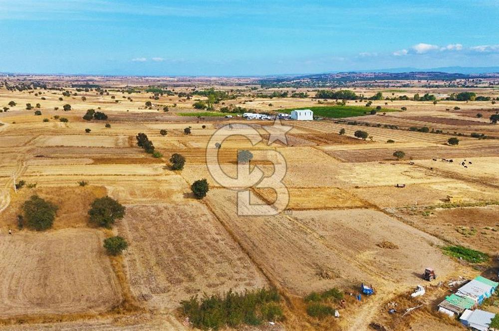 ÇANAKKALE BİGA BALIKLIÇEŞME ORGANİZE SANAYİ MEVKİİ SATILIK TARLA