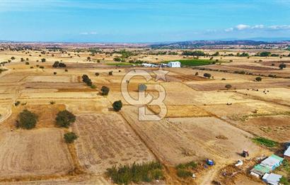 ÇANAKKALE BİGA BALIKLIÇEŞME ORGANİZE SANAYİ MEVKİİ SATILIK TARLA