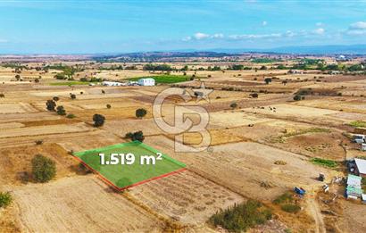 ÇANAKKALE BİGA BALIKLIÇEŞME ORGANİZE SANAYİ MEVKİİ SATILIK TARLA