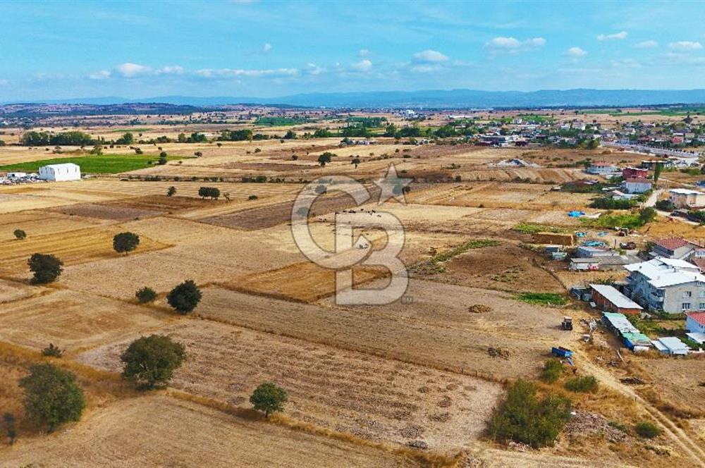 ÇANAKKALE BİGA BALIKLIÇEŞME ORGANİZE SANAYİ MEVKİİ SATILIK TARLA