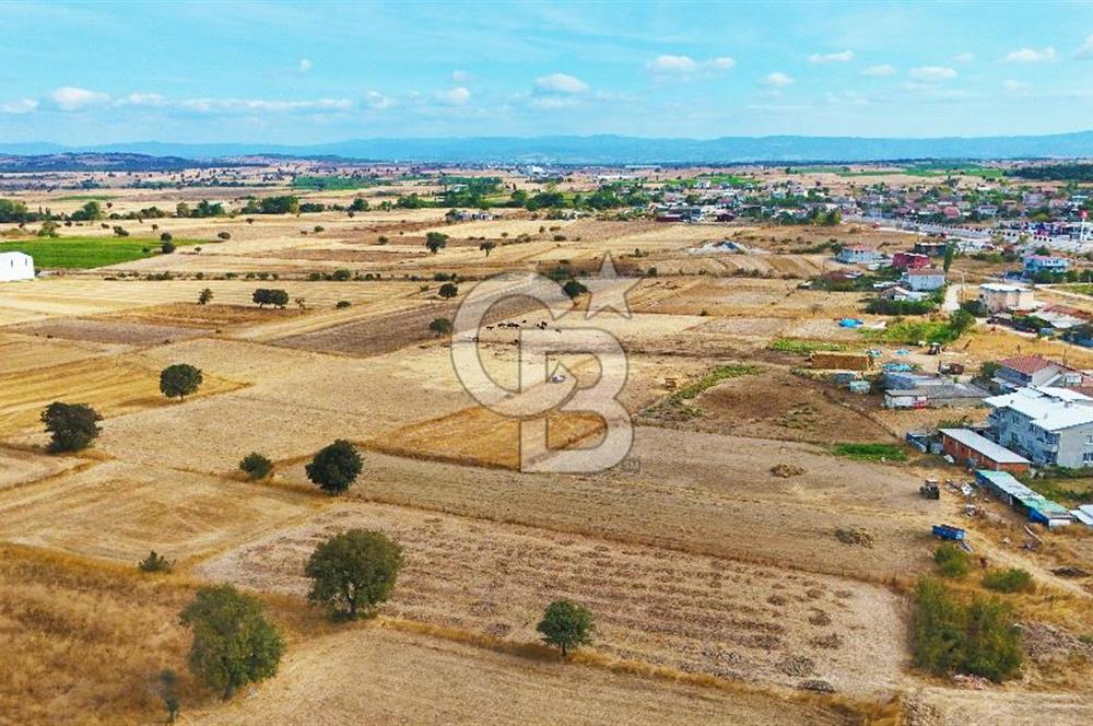 ÇANAKKALE BİGA BALIKLIÇEŞME ORGANİZE SANAYİ MEVKİİ SATILIK TARLA