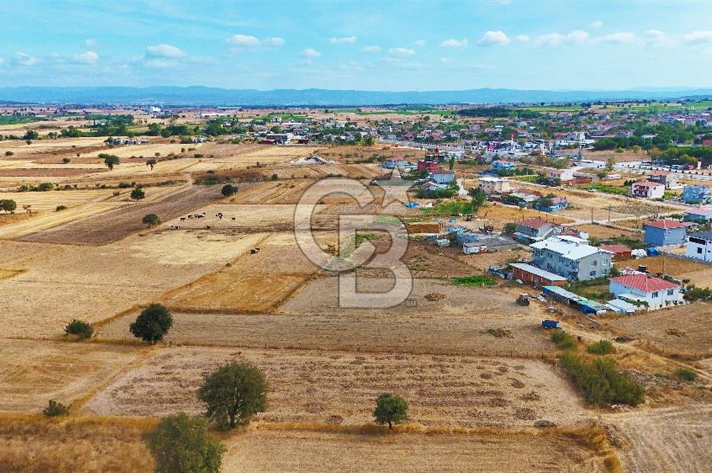 ÇANAKKALE BİGA BALIKLIÇEŞME ORGANİZE SANAYİ MEVKİİ SATILIK TARLA