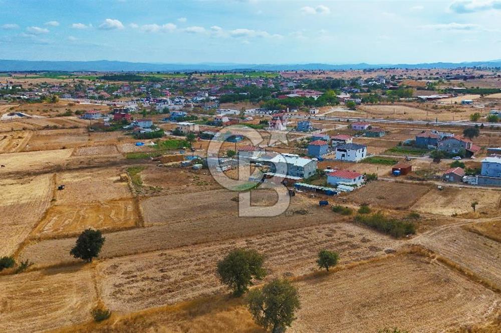 ÇANAKKALE BİGA BALIKLIÇEŞME ORGANİZE SANAYİ MEVKİİ SATILIK TARLA