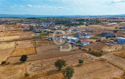 ÇANAKKALE BİGA BALIKLIÇEŞME ORGANİZE SANAYİ MEVKİİ SATILIK TARLA