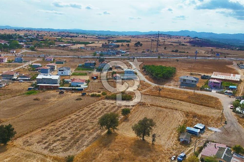 ÇANAKKALE BİGA BALIKLIÇEŞME ORGANİZE SANAYİ MEVKİİ SATILIK TARLA