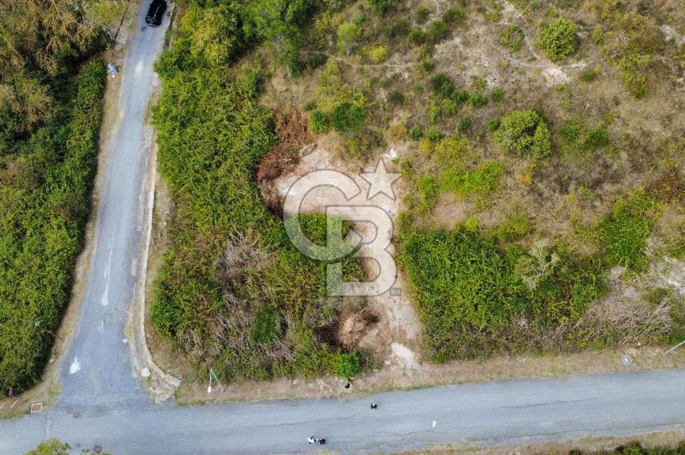 Durusupark Sitesi’nde İmarı Hazır 2.850 m² Arsa – Yatırım ve Yaşam İçin Eşsiz Fırsat