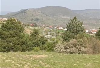 BALIKESİR DURSUNBEY'DE 14.000 M2 ARAZİ
