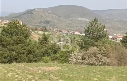 BALIKESİR DURSUNBEY'DE 14.000 M2 ARAZİ