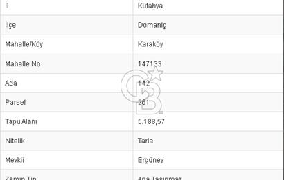 CB BLACK'TAN KÜTAHYA'DA SATILIK TARLA