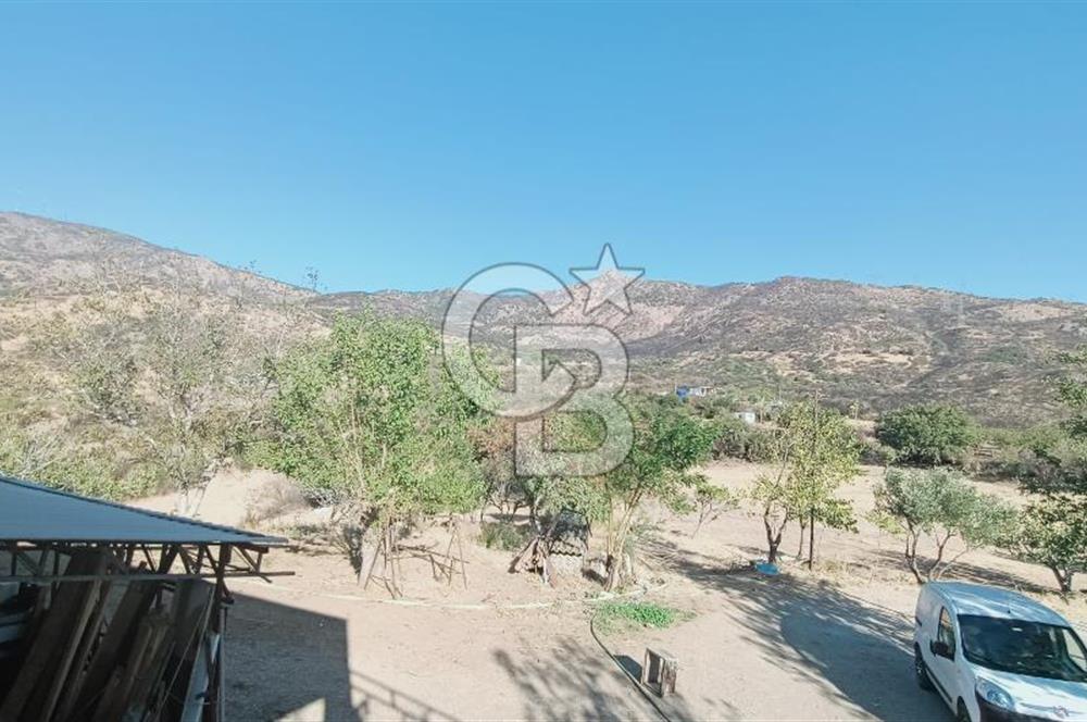 İZMİR BAYRAKLI DOĞANÇAY’DA SATILIK TARLA