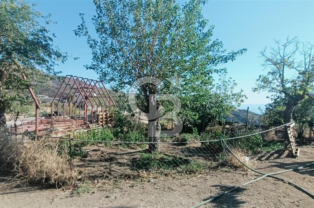 İZMİR BAYRAKLI DOĞANÇAY’DA SATILIK TARLA