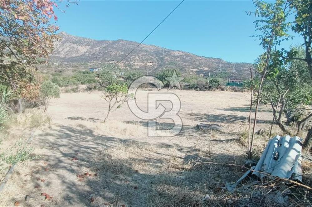 İZMİR BAYRAKLI DOĞANÇAY’DA SATILIK TARLA