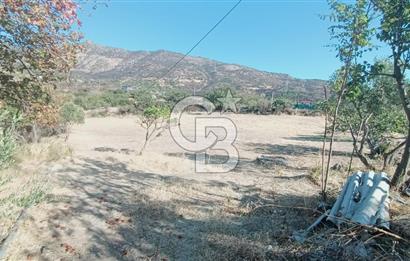 İZMİR BAYRAKLI DOĞANÇAY’DA SATILIK TARLA