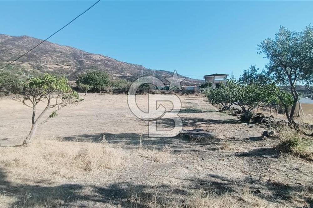 İZMİR BAYRAKLI DOĞANÇAY’DA SATILIK TARLA