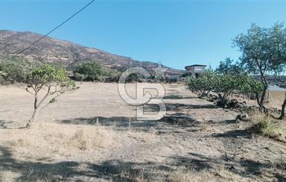 İZMİR BAYRAKLI DOĞANÇAY’DA SATILIK TARLA