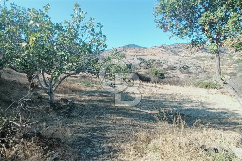 İZMİR BAYRAKLI DOĞANÇAY’DA SATILIK TARLA