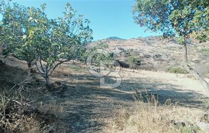 İZMİR BAYRAKLI DOĞANÇAY’DA SATILIK TARLA