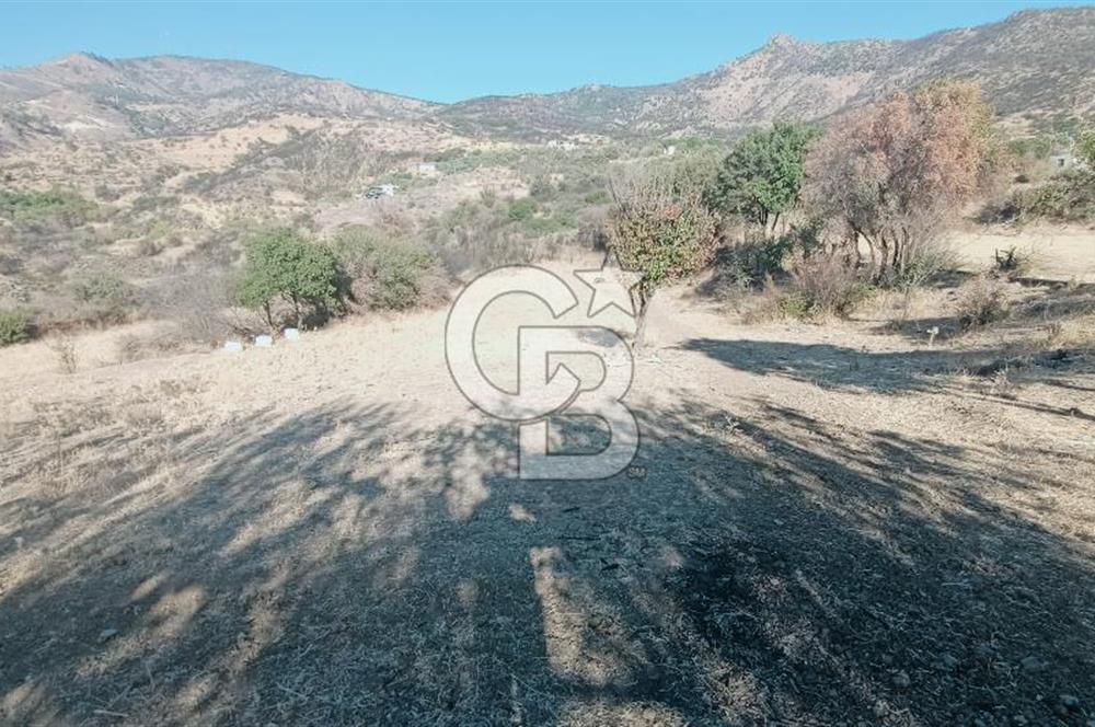 İZMİR BAYRAKLI DOĞANÇAY’DA SATILIK TARLA