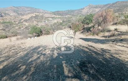 İZMİR BAYRAKLI DOĞANÇAY’DA SATILIK TARLA