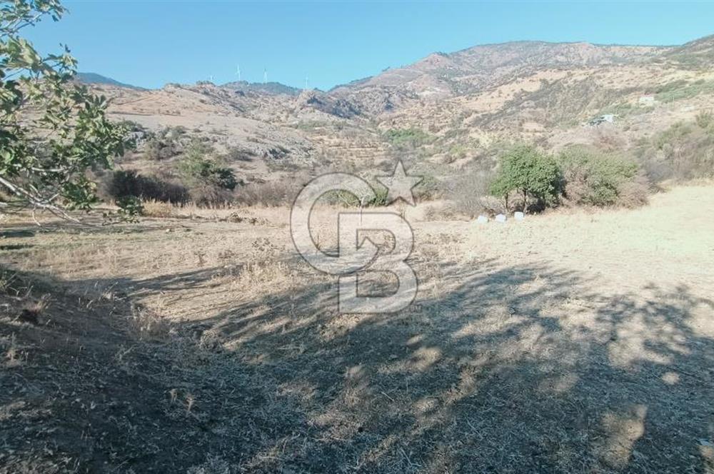 İZMİR BAYRAKLI DOĞANÇAY’DA SATILIK TARLA