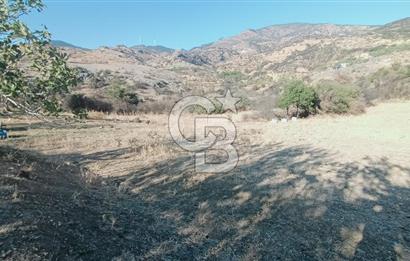 İZMİR BAYRAKLI DOĞANÇAY’DA SATILIK TARLA