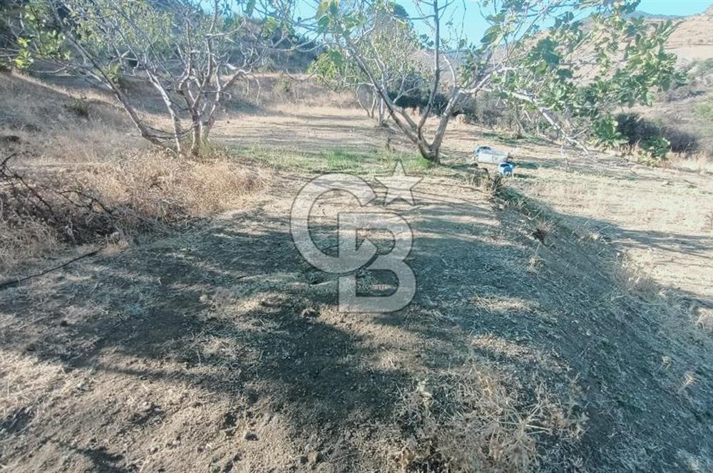 İZMİR BAYRAKLI DOĞANÇAY’DA SATILIK TARLA