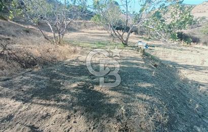 İZMİR BAYRAKLI DOĞANÇAY’DA SATILIK TARLA