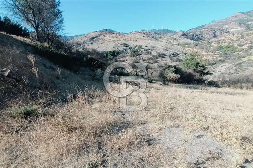 İZMİR BAYRAKLI DOĞANÇAY’DA SATILIK TARLA