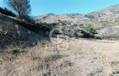 İZMİR BAYRAKLI DOĞANÇAY’DA SATILIK TARLA