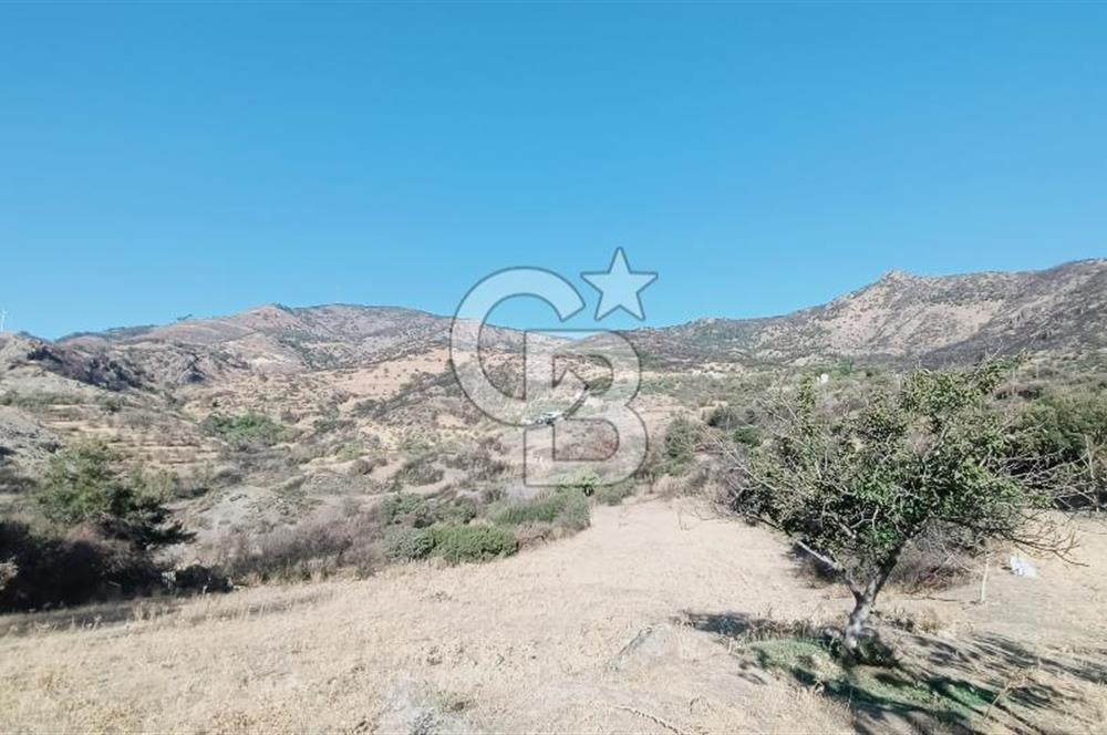 İZMİR BAYRAKLI DOĞANÇAY’DA SATILIK TARLA