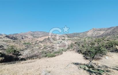 İZMİR BAYRAKLI DOĞANÇAY’DA SATILIK TARLA