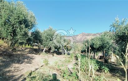 İZMİR BAYRAKLI DOĞANÇAY’DA SATILIK TARLA